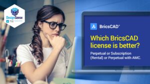 Which BricsCAD license is better?